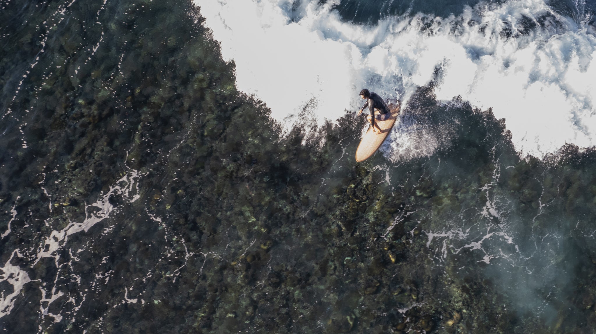 什麼是聖嬰現象?其影響和實例詳細解說!