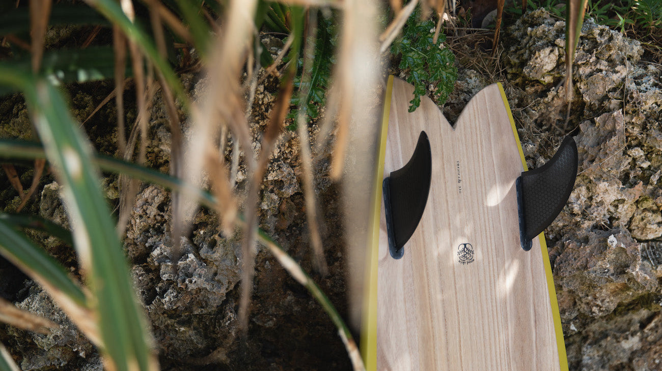 衝浪板推薦選擇魚板的理由