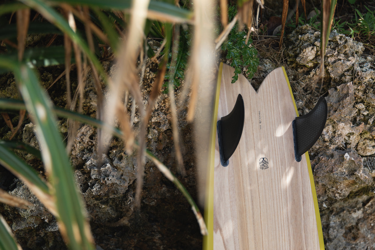 衝浪板推薦選擇魚板的理由